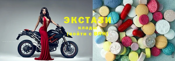 ешки Инта