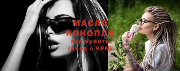 индика Инсар