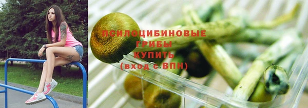 ешки Инта