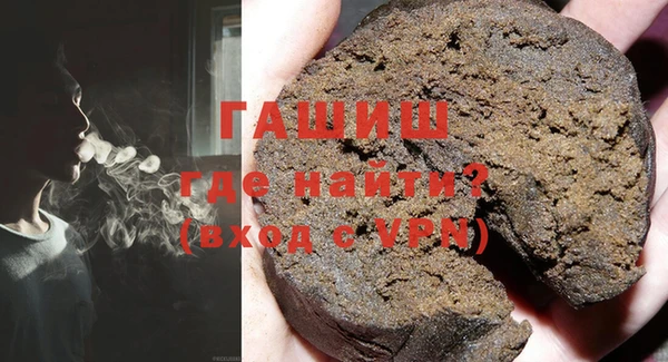 индика Инсар