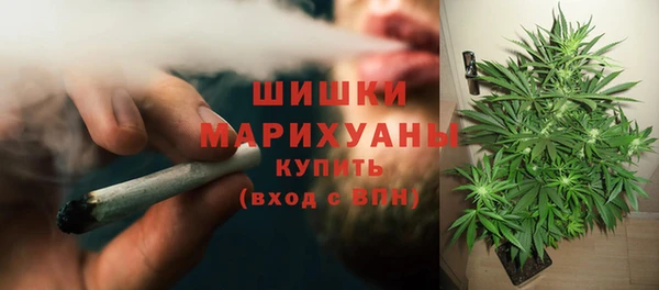 индика Инсар