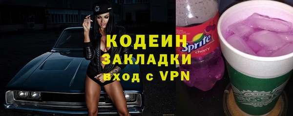 индика Инсар