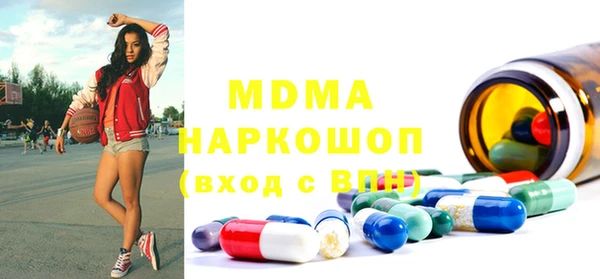 индика Инсар
