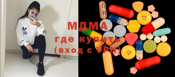 индика Инсар