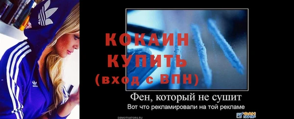 индика Инсар