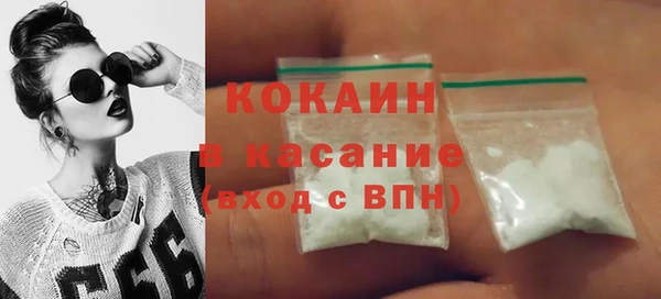 индика Инсар