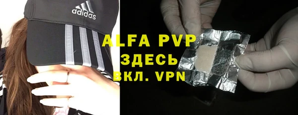ешки Инта