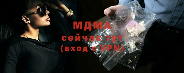 индика Инсар