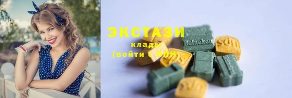 индика Инсар