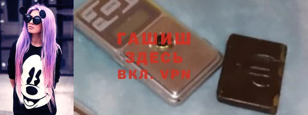 индика Инсар