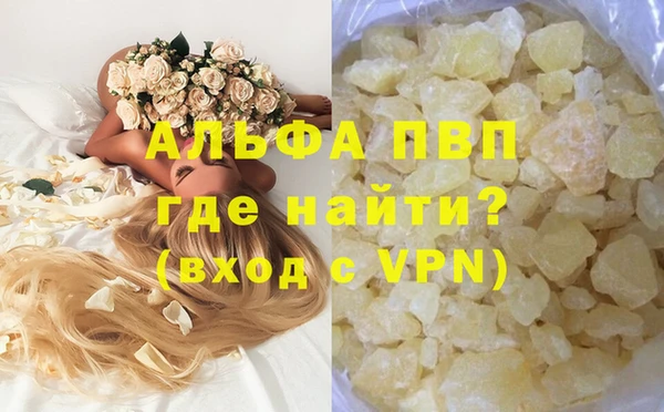ешки Инта