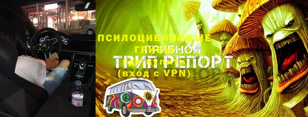 индика Инсар