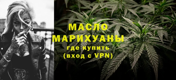 индика Инсар