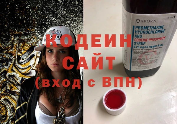 ешки Инта