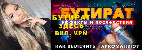 индика Инсар