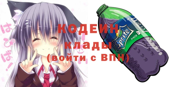 ешки Инта