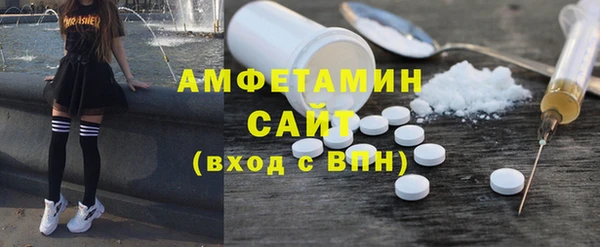 индика Инсар