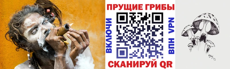 Псилоцибиновые грибы Cubensis  Купить где  Калязин 