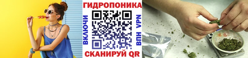 Конопля сатива  Купить  Калязин 